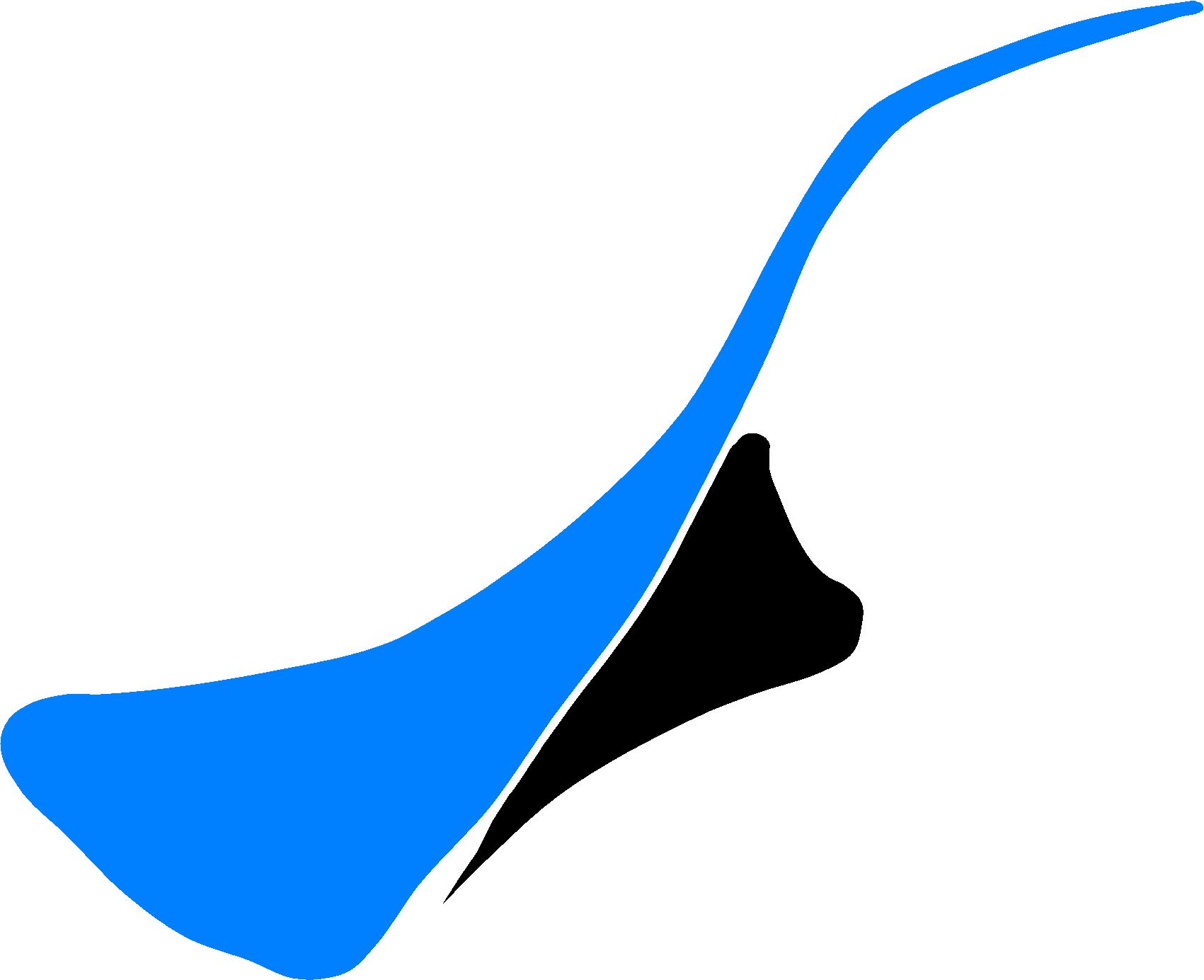 Swimming Club Logo (digital)